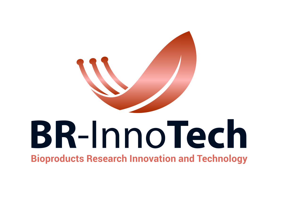 BR-InnoTech Logo